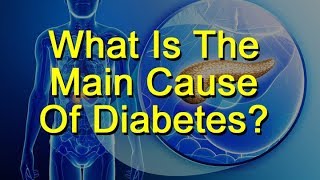 What Is The Main Cause Of Diabetes?