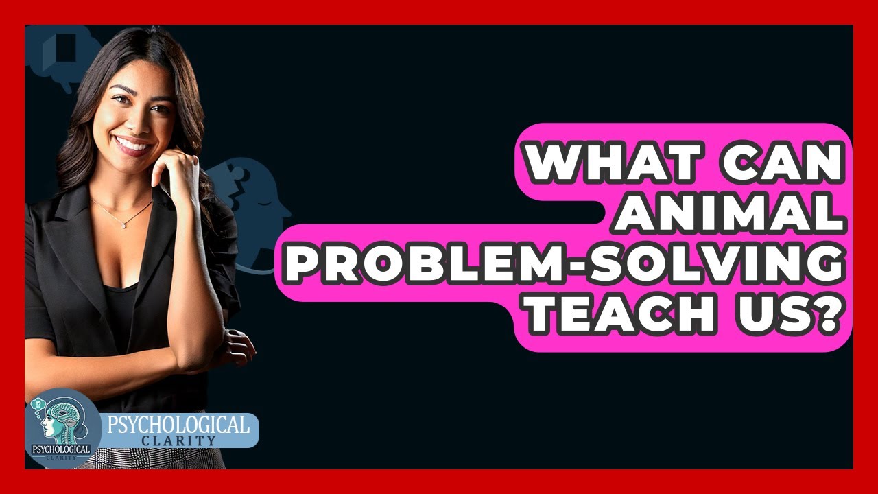 What Can Animal Problem-solving Teach Us? - Psychological Clarity - YouTube