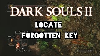 Locate the Forgotten Key (Black Gulch) - Dark Souls 2 Gameplay