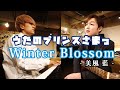 【Cover】うたプリ / Winter Blossom / 美風 藍 (CV.蒼井翔太) covered by Lambsoars(ラムソア)