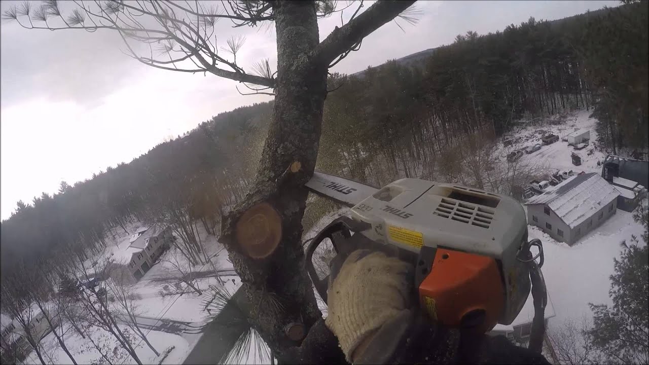 Topping a 100'-0" Eastern White Pine Windham, NH