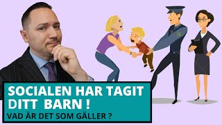 Socialen Har Tagit Ditt Barn - Varför Och Vad Kan Du Göra?