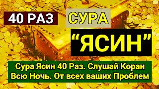 Сура Ясин 40 Раз, سورة يس Красивый Коран, Всю Ночь, От Всех Ваших Проблем