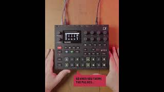 Neatures No. 2 - Euclidean Mode P-Lock Magic