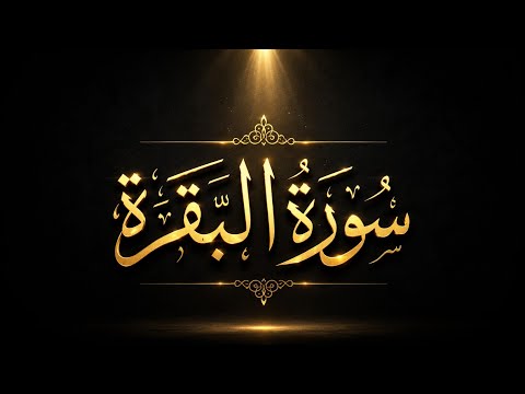 Fast Recitation Surah Baqarah BY SHEIKH MISHARY RASHID AL AFASA