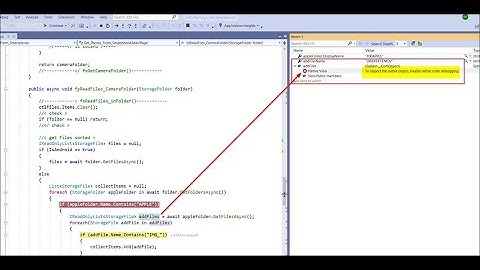 🐞 Allow Native View: To inspect the native object, enable native code debugging.