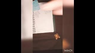 journal recreation from' ARA LAND'