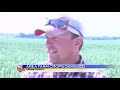News 5 at 5 - Area Farm Crops Damaged By Severe Weather / July 10, 2014