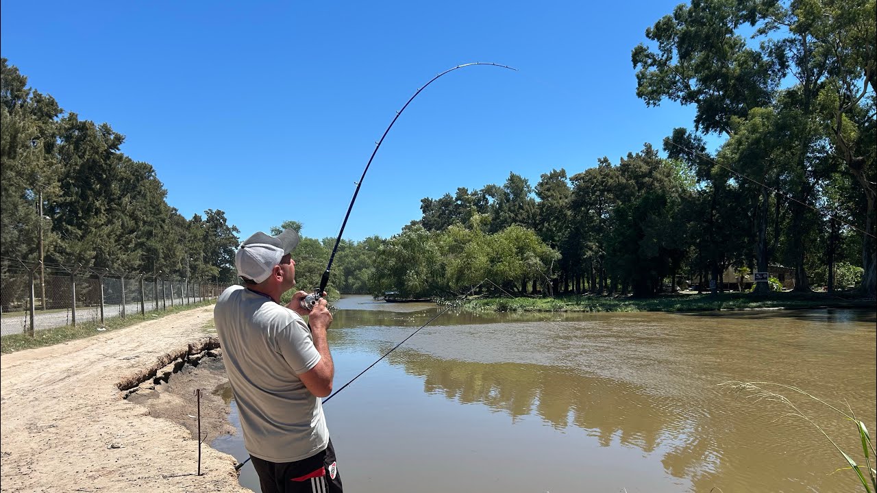 PESCA y COCINA en el RÍO LUJÁN muchos PESCADOS,LUGAR GRATIS