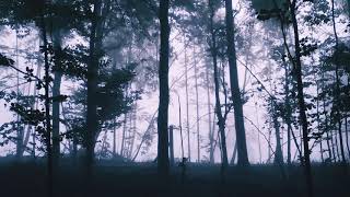 Lustre - Let Go like Leaves of Fall