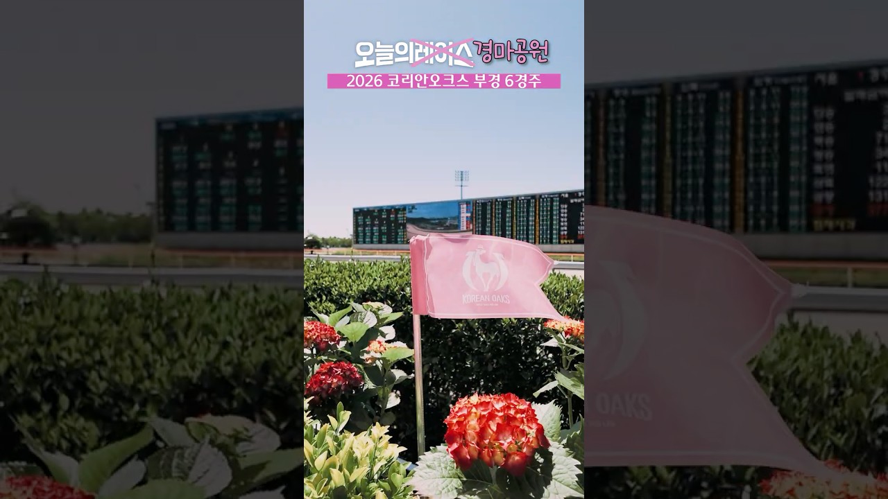 #f(x) #pinktape 감성으로 준비한 #코리안오크스 🌸🎀💖