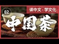 【中国文化紹介】🍵中国茶🍵の世界へようこそ!7大茶の秘密と魅力を大公開✨