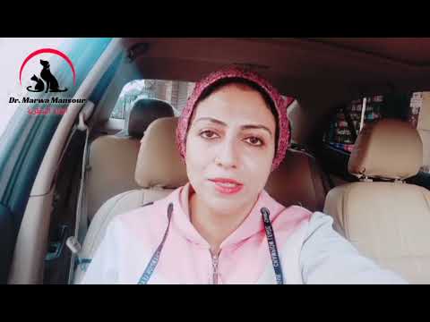 جدول تطعيمات القطط والكلاب معلومة عالسريع