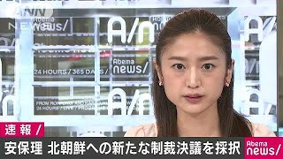北朝鮮への制裁決議を全会一致で採択　国連安保理(17/09/12)
