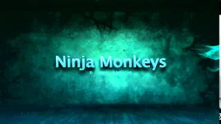 Ninja Monkey's Official Intro!