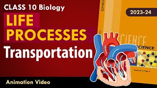 Life process class 10 Animated video | 10th BIOLOGY | ncert #science | Chapter 7 #transportation