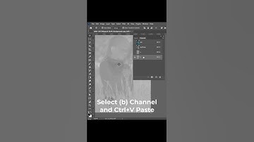 Background-color change in 1 click #photoshop #shorts #viral