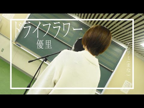 ドライフラワー/優里　＃アンリミテッドカラー 【#アンリミまな】カバー【女性が歌う】
