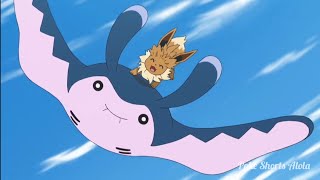 Eevee Seems To Play Nice