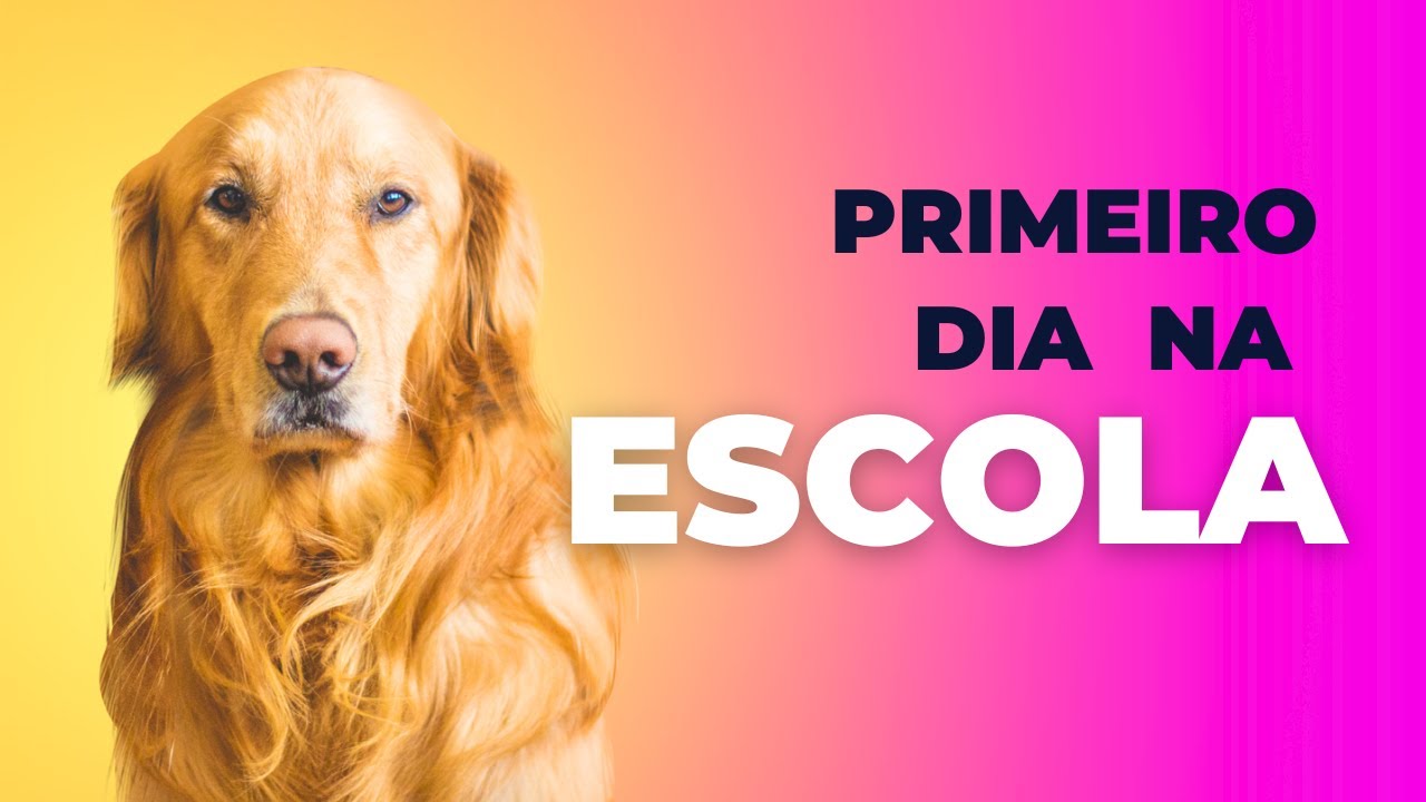 Primeiro dia de aula na escola - YouTube