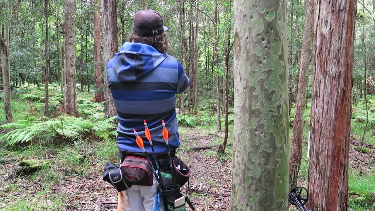 ABA paper targets for 3d archery practice YouTube