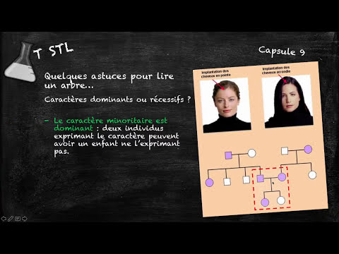 Vídeo: Com Trobar El Vostre Arbre Genealògic