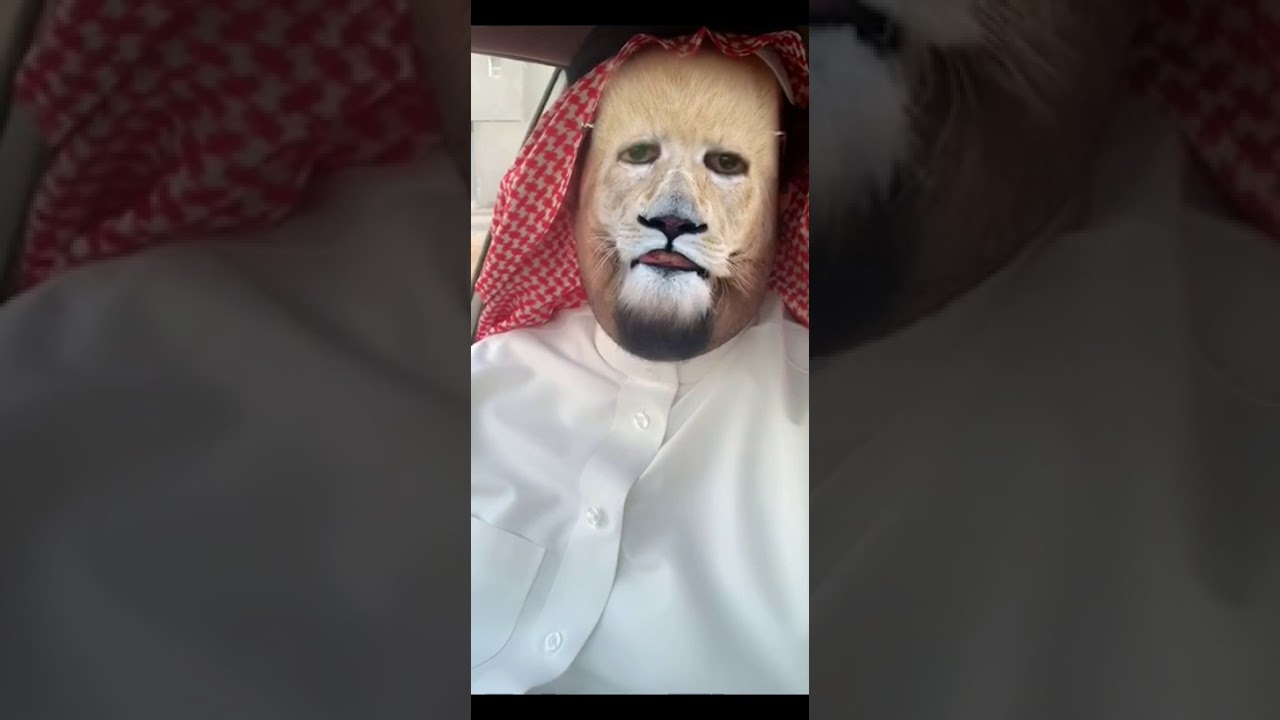 الأسد المضيوم