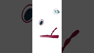 How Bleeding Stops in Seconds 🩸 | Platelet Plug Formation | @ScalpelThoery