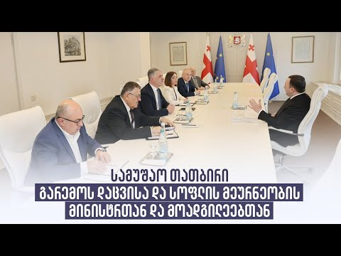 სამუშაო თათბირი გარემოს დაცვისა და სოფლის მეურნეობის მინისტრთან და მოადგილეებთან