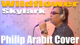 Wildflower - Skylark (Philip Arabit Cover)