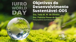 Objetivos do Desenvolvimento Sustentável na Embrapa - Sustainable Development Goals SDGs