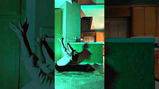 if Hocus Pocus was rated R #weirdcore #halloween