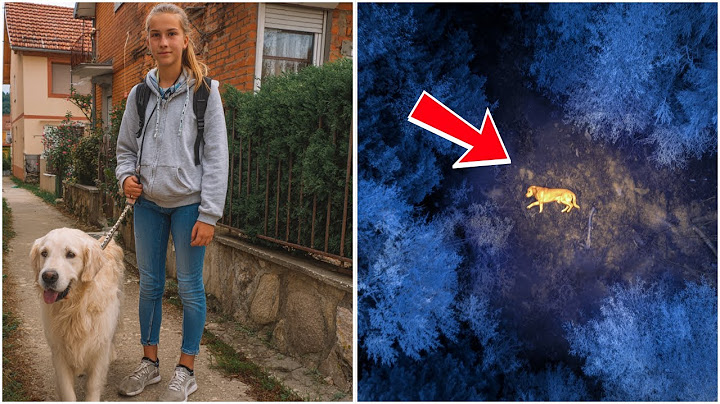 Djevojka Nestala u Šetnji sa Svojim Psom, Godinu Dana Kasnije Lovčev Termalni Dron Snima Ovo…