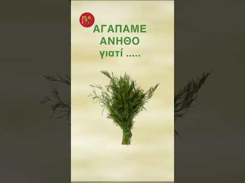 ΑΓΑΠΑΜΕ ΑΝΗΘΟ, γιατί