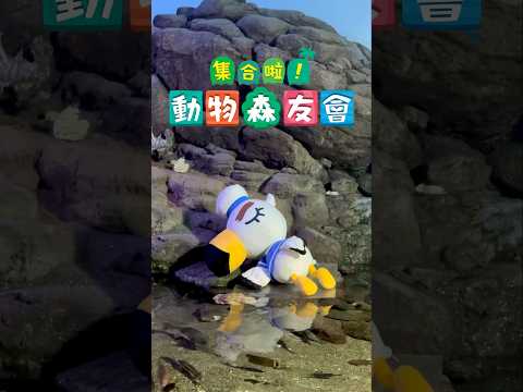 🌴現實版動物森友會🦉【橫濱八景島】沈浸式一日體驗 貓頭鷹博士講解海洋生物和標本 一日兩次釣魚大賽 動森主題海豚表演🐬