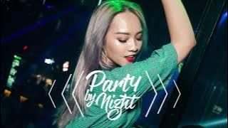 《超好聽》年最劲爆的慢摇舞曲2019 (DJ YE) Party By Night