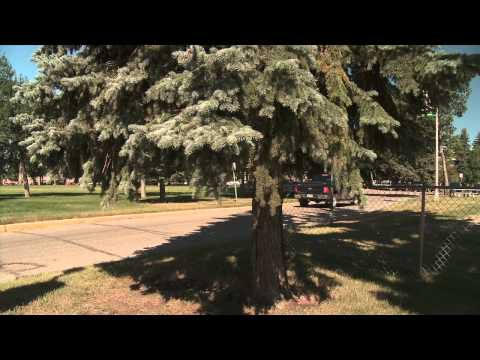Dale Brown on North Dakota