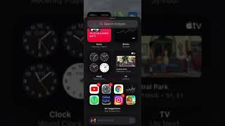 How to add a widget to iOS 14 home screen screenshot 5
