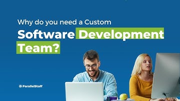 Why do you need a Custom Software Development Team?🚀