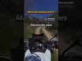 Sence hangisi? Asfalt/toprak/viraj ❤️🔥💥🏍️ #adventure #offroad #shorts #travel #vlog