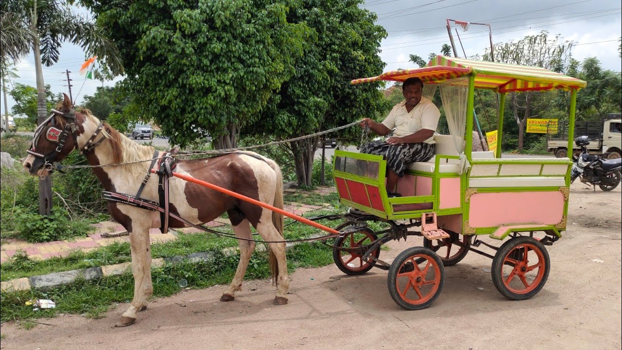 ghoda gadi in Hyd trained horse in Hyd Raheem Mirza ghode wale hyd