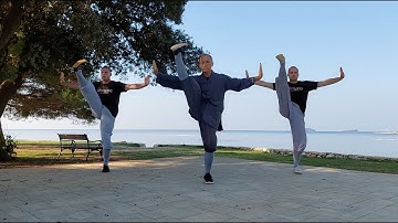 Shaolin Kung Class 8: Basic Kicks