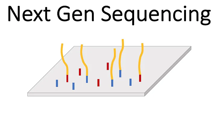 Next Generation Sequencing (Illumina) - An Introduction - DayDayNews