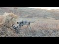 Watch Coyotes Get Sniped with the 22 CREED and 22-250.  Awesome 4K Footage.  PHS: HR-Duex