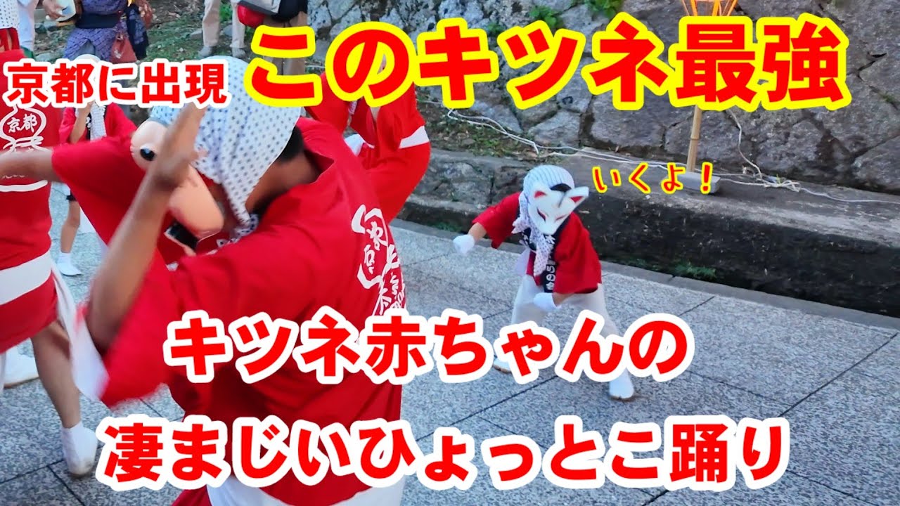 このキツネ最強！京都に現れた可愛い赤ちゃんキツネの凄まじいひょっとこ踊りに大人も釘付け/満足稲荷神社/愛宕街道/太秦映画村/太秦ひょっとこ踊りの会 