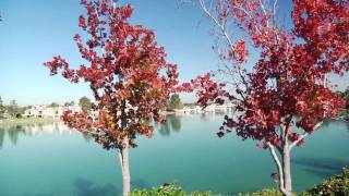 Irvine, California Community Tour in HD