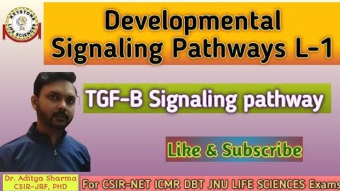 Developmental Signaling Pathways L-1#TGF-B Signaling Pathway by Dr. Aditya Sharma CSIR-JRF PHD