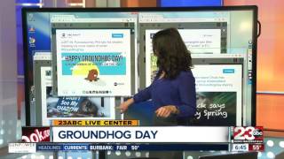 The groundhog community is confused this Groundhog Day