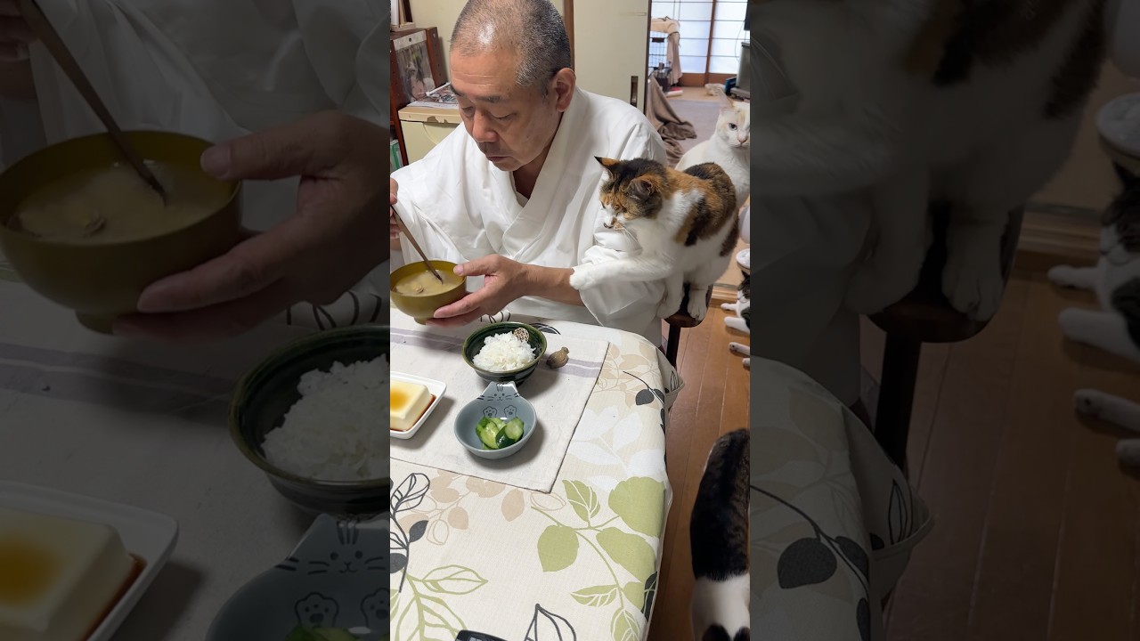 #住職の朝ごはん きゅうりの漬物 冷奴 トマト アサリの味噌汁 ごはん #猫#猫のいる暮らし #那須の長楽寺