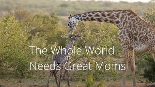 The Whole World Needs Great Moms